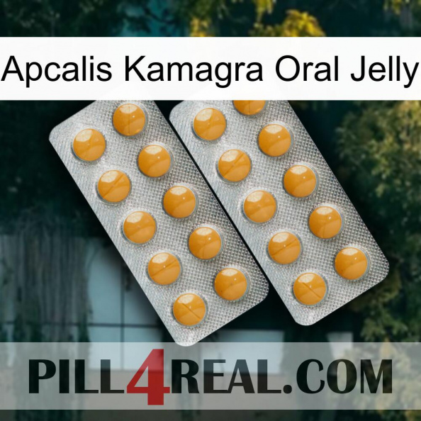 Apcalis Kamagra Oral Jelly levitra2